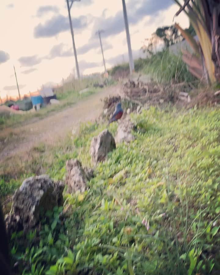 ONE SUITE Hotel & Resort（公式）のグルメインスタ