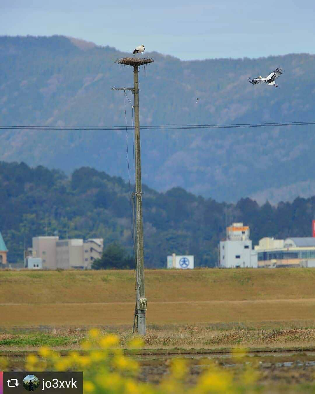 兵庫県のインスタグラム