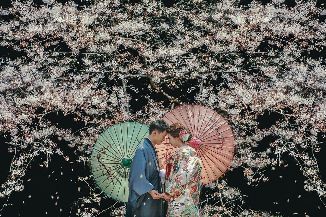 Decollte Wedding Photographyのインスタグラム