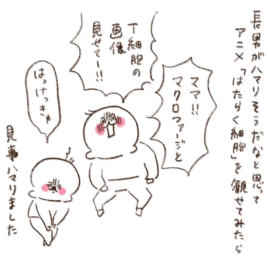 やまもとりえのインスタグラム：「「血小板可愛いから本物が見たい」って言うから画像を見せたら「ちょっとだけ気持ち悪いな…ごめんね」って言ってました。」