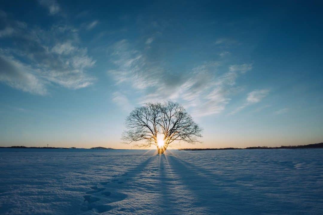 Hikaruのインスタグラム：「Beautiful morning. . . . いつ訪れても違う顔。 美しい風景と出会うと 日々の雑多な事など 忘れてしまいます。 . . . #北海道 #instagram #東京カメラ部 #tokyocameraclub #natgeo #bealpha #sonyphotography #pashadelic #team_jp #bestjapanpics #natgeo #ig_japan #natgeoyourshot #yourshotphotographer #myrrs #hellofrom #naturephotography #ig_worldclub #1x #landscapephotomag #landscapelovers #lovers_nippon #visitjapanjp #art_of_japan #splendid_earth #日本の絶景 #ig_great_pics #BBCtravel #ig_worldclub_sky #jalan_kiseki」