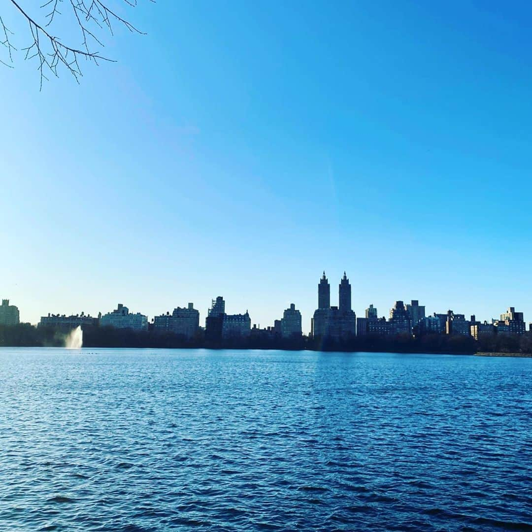 川上洋平さんのインスタグラム写真 - (川上洋平Instagram)「Good bye, New York.  #newyork  #brooklyn  #gugenheimmuseum  #angelikafilmcenter」3月2日 20時00分 - yoohei_alexandros