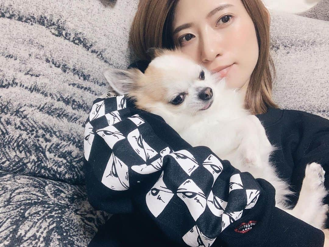 柳めぐみさんのインスタグラム写真 - (柳めぐみInstagram)「. . I met my son for the first time in 5 months❤️ Adorable😍😍😍😍😍 . #choro_love #愛犬 #愛おしすぎる #でも5ヶ月ぶりな気がしない」3月2日 20時04分 - yanameguchan