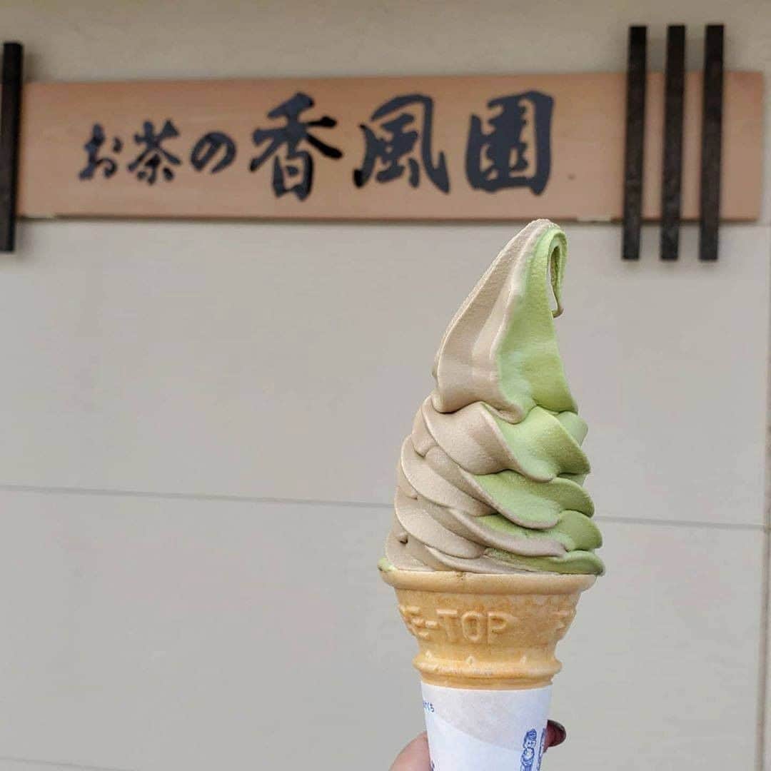 LeTRONC ルトロンのグルメインスタ