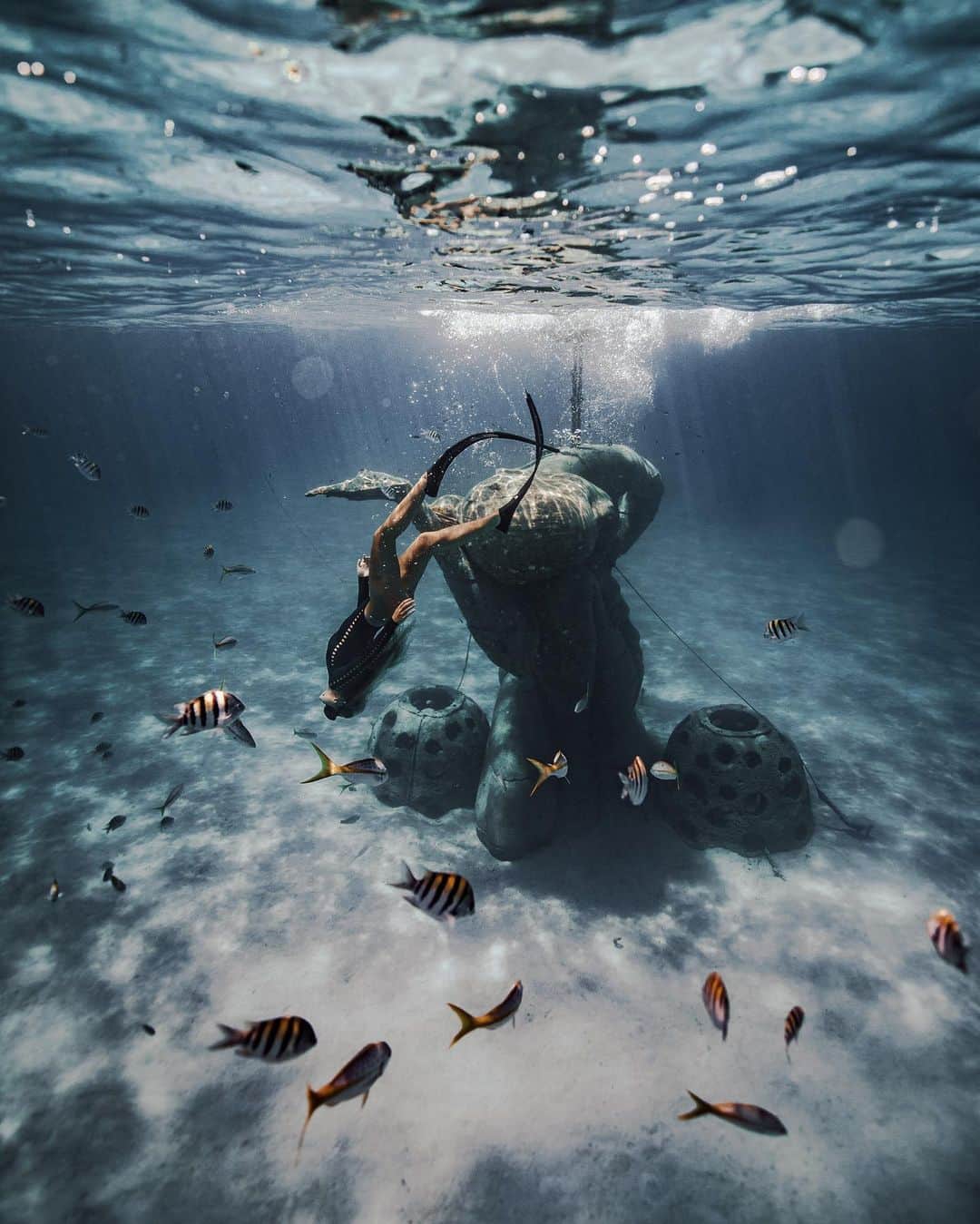 サシャ・カリスのインスタグラム：「🐟 “if  the ocean  can calm itself,  so can you. we  are both  salt water  mixed with  air.” Nayyirah Waheed 📸 @jackbatesphotography」