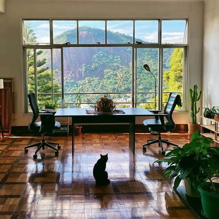 Airbnbさんのインスタグラム写真 - (AirbnbInstagram)「Viviana’s eclectic house is a perfect introduction to the bohemian Santa Teresa neighborhood, where restored colonials mingle with art studios. The view from inside is just the start. Panoramas seem to lurk around every corner, whether you’re wandering the area’s hilly streets or climbing Escadaria Selarón—the famous nearby staircase covered in brilliant mosaics.  Photo: @_karinegoncalves」3月3日 1時00分 - airbnb