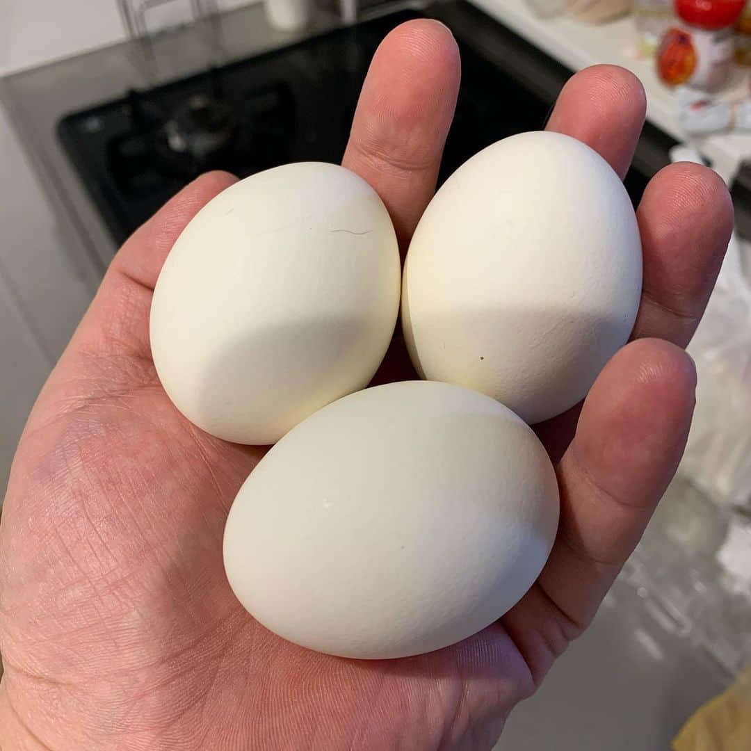 池田真一さんのインスタグラム写真 - (池田真一Instagram)「皆のSNS見て僕も何か動かないといけないと思い、とりあえずゆで卵作りました！ まだ他にもやれる事あると思うので探して動きます！ 次はお風呂にお湯はってみようと思います！」3月3日 1時28分 - wartdebu