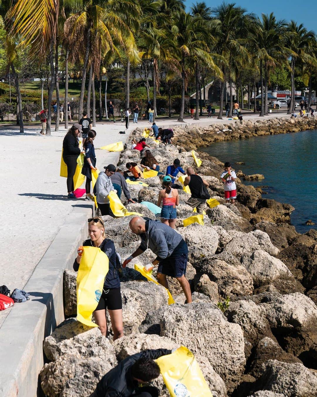 Ultra Music Festivalさんのインスタグラム写真 - (Ultra Music FestivalInstagram)「We’d like to thank the 350 people who supported and showed up to take part in cleaning up the Bayfront Park shoreline yesterday together with @sendit4thesea, @debrisfreeoceans, @cleanthisbeachup and @lifestyle_miami!  Over 1300 lbs of trash 800+ bottles And nearly 2,000 plastic straws  We can’t wait to be back home in Miami with you all in just a few weeks for #Ultra2020!  #MissionHome」3月3日 8時34分 - ultra