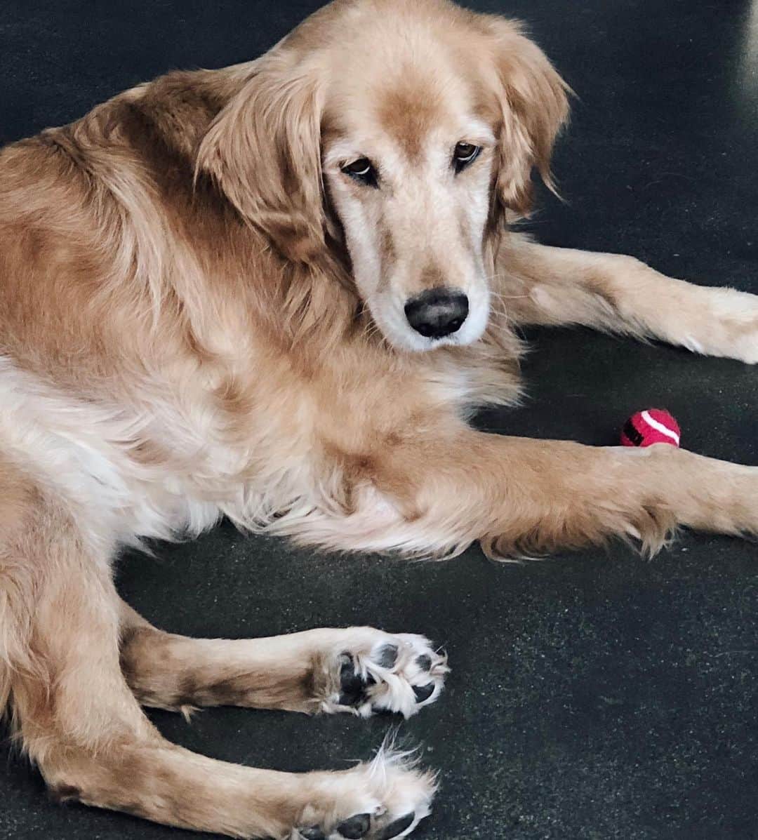 Kristin Essのインスタグラム：「My face when someone asks if I’m gonna get on TikTok.」