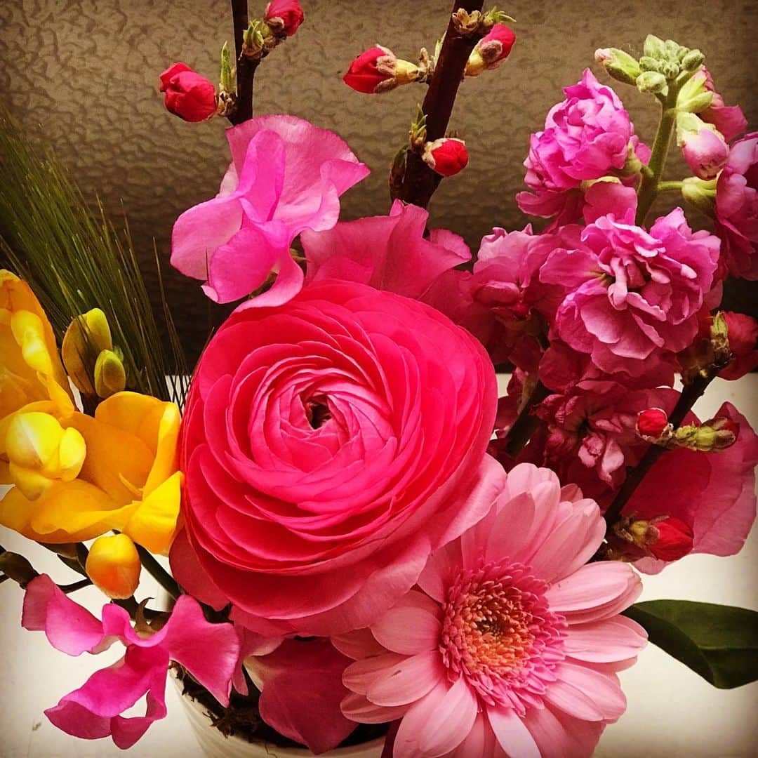 前野えまさんのインスタグラム写真 - (前野えまInstagram)「3月3日🌸 ひなまつり🎎 ・ ・ #おはようございます #3月3日 #ひなまつり #桃の節句 #桃色 #花 #薔薇 #ガーベラ #桃 #スイートピー #スナップ #黄色い花 #フリージア #花と私 #フラワーアレンジメント #お花のある暮らし #お花好きな人と繋がりたい #前野えま  #goodmorning #march #peach #pink #yellow #flower #flowerstagram #flowerarrangement #flowerphotography  #followme #instagood #tflers」3月3日 6時53分 - maeno_ema