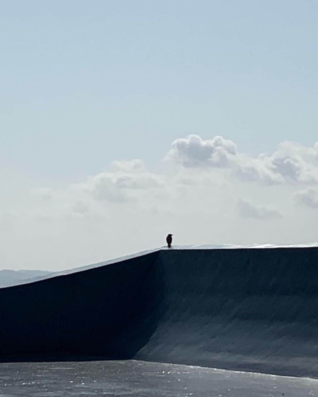 ONE SUITE Hotel & Resort（公式）のグルメインスタ