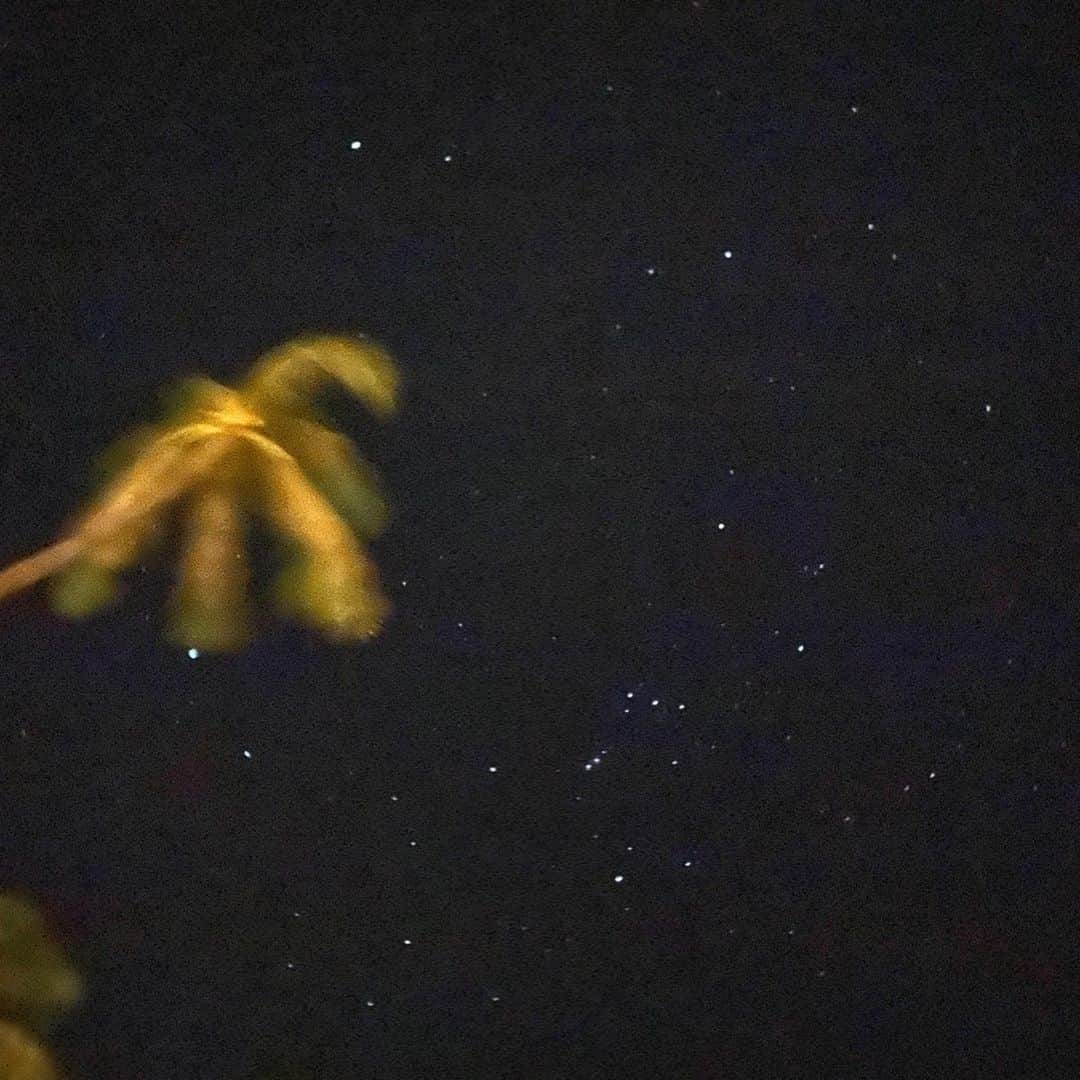 中島亜莉沙さんのインスタグラム写真 - (中島亜莉沙Instagram)「Maui🤙🏾🌴❤️ オハフ島から飛行機で20分🙆🏼‍♀️ #桁違いの大自然 #桁違いのサイズ感 👣 #桁違いに大好き #maui #hawaii #kapalua #airport #airline #sunset #haleakala #haleakalanationalpark #ootd #outfit #archivio #vspink #fila #マウイ島 #ハワイ #ハワイ旅行 #ハレアカラ #カパルア #アルチビオ」3月3日 16時19分 - arisan_days