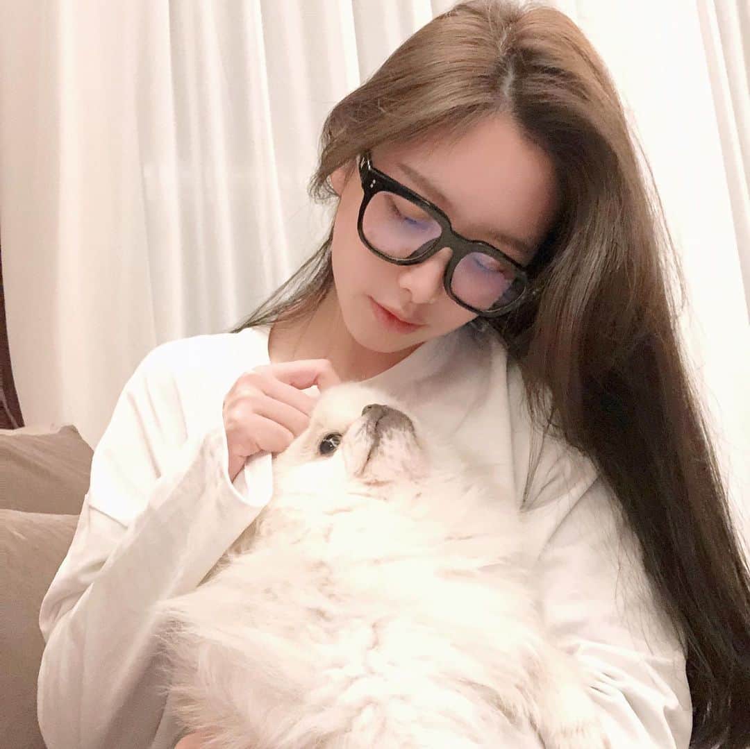 NiyaBeriiのインスタグラム：「落ち着く🐶」