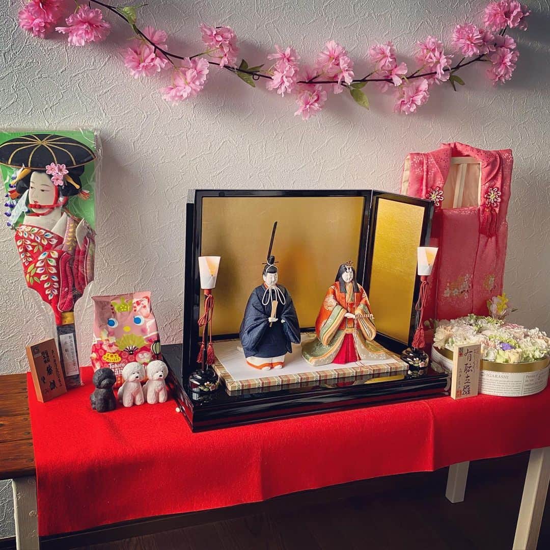 たまねぎさんのインスタグラム写真 - (たまねぎInstagram)「. . ひなまつり 我が家の紅一点(*´꒳`*) . 写真解説はブログで（笑） . . #standardpoodle #dog #lovedogs #poodlesofinstagram #スタンダードプードル #大型犬と子供 #poodle #dogstagram #いぬのいる生活 #もふもふ部 #わんこ部 #子どもと犬  #kidsanddog #ママリ #キズナ #コドモノ #いこーよ #いぬのきもち #犬と暮らす #いぬなしでは生きていけません #日常の風景 #なかよし #お雛様 #雛祭り #ひなまつり #立ち雛 #木目込み人形 #真多呂人形 #真多呂雛人形」3月3日 16時55分 - tamanegi.qoo.riku