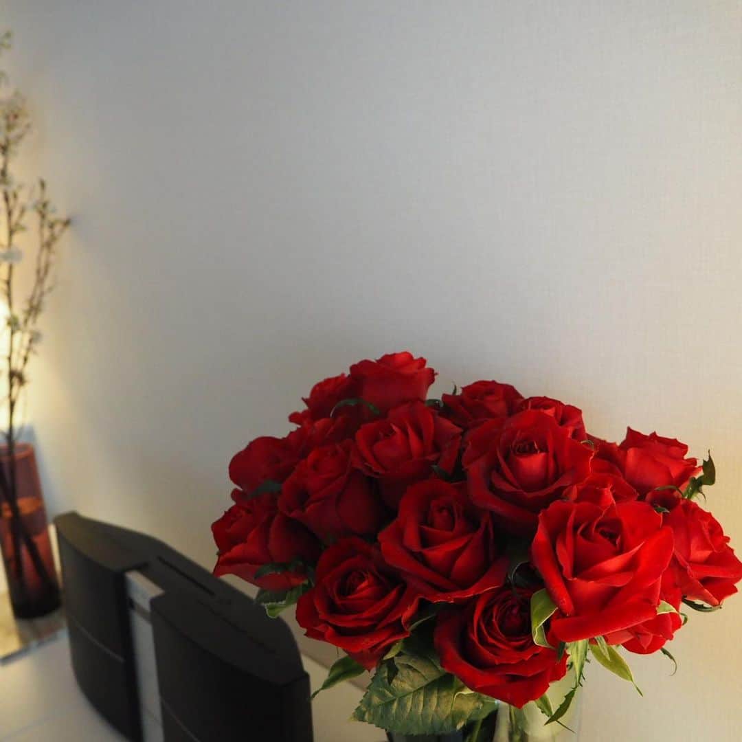 珠洲春希さんのインスタグラム写真 - (珠洲春希Instagram)「お誕生日にいただいた薔薇🌹✨ そろそろくたっとして参りました。我が家は床暖がずっと付いていてぽかぽかなので、やはり駄目だったのでしょうか😭 丁寧にお花のお世話をしてくれる母が管理すると…昨年はなんと1ヶ月ももったのです😳✨3枚目。(寒い寒い実家の玄関でしたが…) 今日は、電車の中に、お花💐と卒業アルバム📕卒業証書👩🏻‍🎓を持った女子高生達が。親御さんの姿はなく、生徒さん達だけでの卒業式だったのかな…と、複雑な気持ちになりました。」3月3日 17時28分 - harukisuzu54