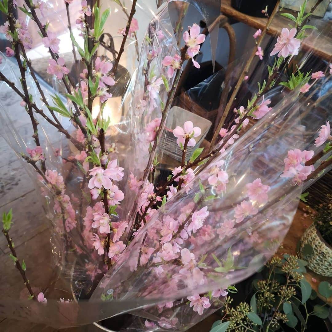 蛯原英里さんのインスタグラム写真 - (蛯原英里Instagram)「今日は、桃の節句🌸 昨日は桃の花をゲットしにお花屋さんに行ってきました🌸  綺麗な花々がたくさんあるので 癒される〜！ 色々と選びたくなるけど今回は、桃の花メイン！ 娘が選んでピンク系でまとめもらいました🌸嬉しい〜😊 #hina#peachblossom#flowers #festival」3月3日 8時44分 - eriebihara