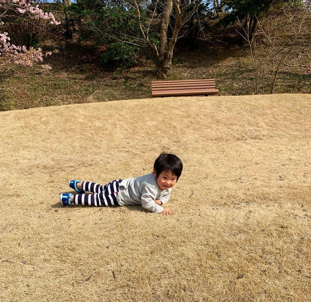 藤田志穂さんのインスタグラム写真 - (藤田志穂Instagram)「とても楽しそうな母と、これでも楽しんでる息子👦🤣 ・ 楽しんでると言うか、集中してる😂 ・ そして 顔をはめるパネルで写真を撮ろうとしたのに、肝心なタイミングで去る息子と残念そうな父🙍‍♂️ ・ 最後は渾身の1枚🤣 ・ 早く落ち着いた毎日になりますように🙏✨ ・ #アンパンマンも #バイキンマンも #トーマスも #いたのに #息子が選んだのは #ドキンちゃん #これでも楽しい #地蔵タイプ #大人になって #コレに乗るとは #思わなかった😂 #アレルギーっ子 #東京ドイツ村 #ふじたの子育て」3月3日 11時10分 - shiho_fujita44