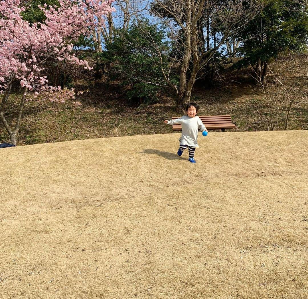 藤田志穂さんのインスタグラム写真 - (藤田志穂Instagram)「とても楽しそうな母と、これでも楽しんでる息子👦🤣 ・ 楽しんでると言うか、集中してる😂 ・ そして 顔をはめるパネルで写真を撮ろうとしたのに、肝心なタイミングで去る息子と残念そうな父🙍‍♂️ ・ 最後は渾身の1枚🤣 ・ 早く落ち着いた毎日になりますように🙏✨ ・ #アンパンマンも #バイキンマンも #トーマスも #いたのに #息子が選んだのは #ドキンちゃん #これでも楽しい #地蔵タイプ #大人になって #コレに乗るとは #思わなかった😂 #アレルギーっ子 #東京ドイツ村 #ふじたの子育て」3月3日 11時10分 - shiho_fujita44