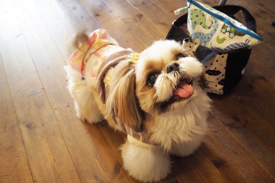 maruku. café のグルメインスタ