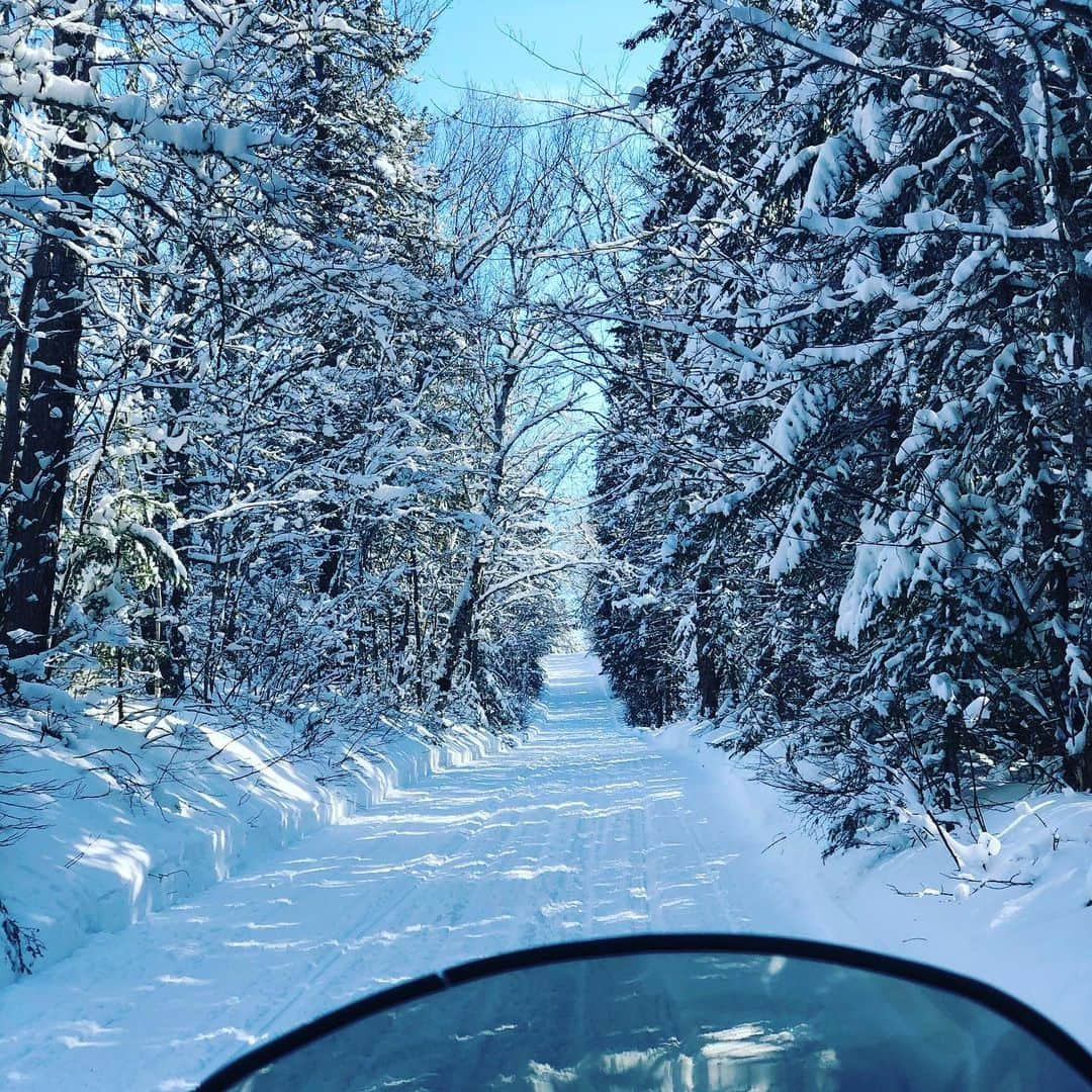 エリシャ・カスバートさんのインスタグラム写真 - (エリシャ・カスバートInstagram)「Winter wonderland」3月3日 12時08分 - elishaphaneuf