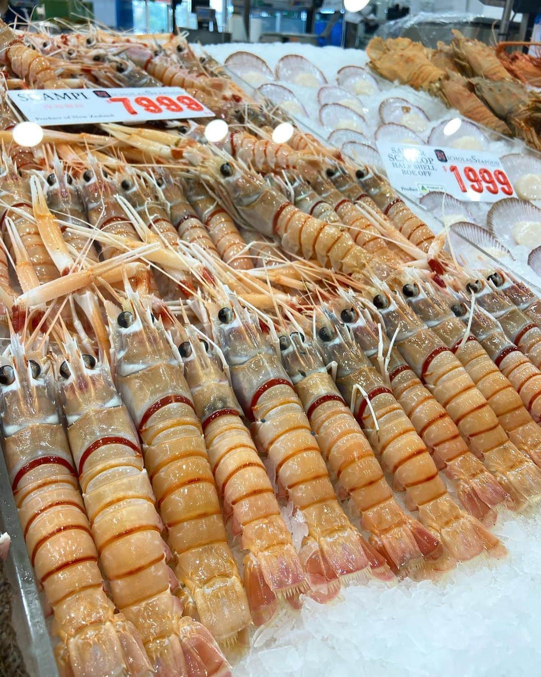 荒尾茉紀さんのインスタグラム写真 - (荒尾茉紀Instagram)「初フィッシュマーケット🐟世界で2番目に大きい市場だそうです（1位は築地だったらしい😳）食べすぎた‼️ #sydney #留学 #fishmarket #魚市場」3月3日 12時03分 - maki.arao