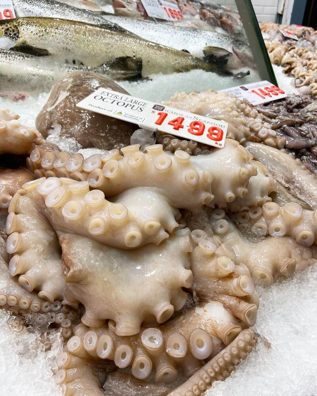 荒尾茉紀さんのインスタグラム写真 - (荒尾茉紀Instagram)「初フィッシュマーケット🐟世界で2番目に大きい市場だそうです（1位は築地だったらしい😳）食べすぎた‼️ #sydney #留学 #fishmarket #魚市場」3月3日 12時03分 - maki.arao