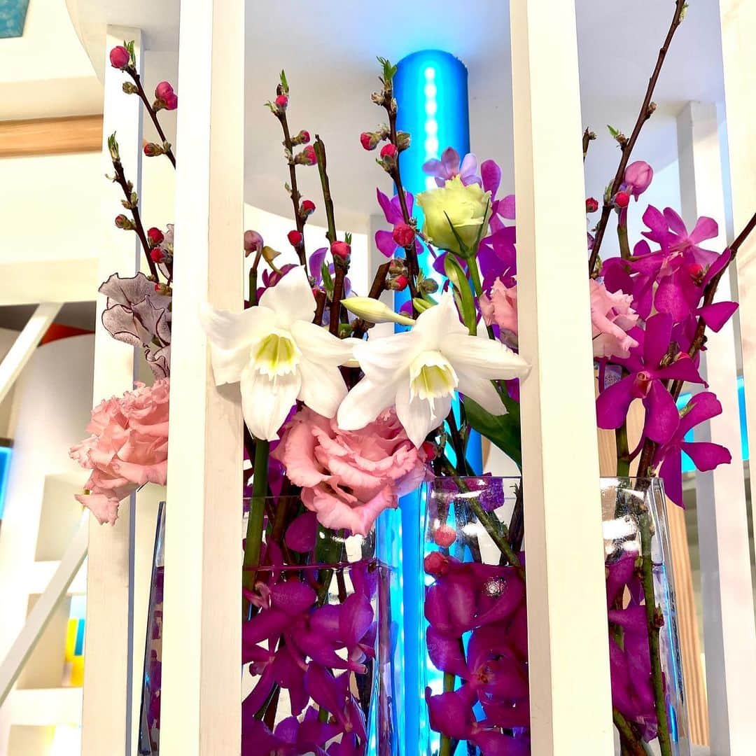 福岡放送「バリはやッ!」さんのインスタグラム写真 - (福岡放送「バリはやッ!」Instagram)「🌸3/2〜週のスタジオ装花🌸 "3月3日、桃の節句🍑 女の子の幸せを願い、ひな祭りの桃の花を飾りました。バリはやッ！の皆様、視聴者の皆様にも、桃の幸せが多くありますように！" by #takeshithemangrove  ありがとうございます！ #THEMANGROVE 様‼️ #桃の花 #ピンポンマム　#ラナンキュラス　#モカラ　#トルコキキョウ　#スイートピー　#ユーチャリス  #桃の節句　#雛祭り #ひなまつり　#ひな祭り　#ひな祭りの花　#ひなまつりフラワーアレンジメント #雛祭りフラワーアレンジメント  #桃　#花が好き #花が好きな人と繋がりたい #花を飾る #花を楽しむ #フラワーアレンジメント #装花　#スタジオ装花　#春の花　#3月の花　#春花　#桃の幸せ #バリはや」3月3日 12時03分 - barihaya