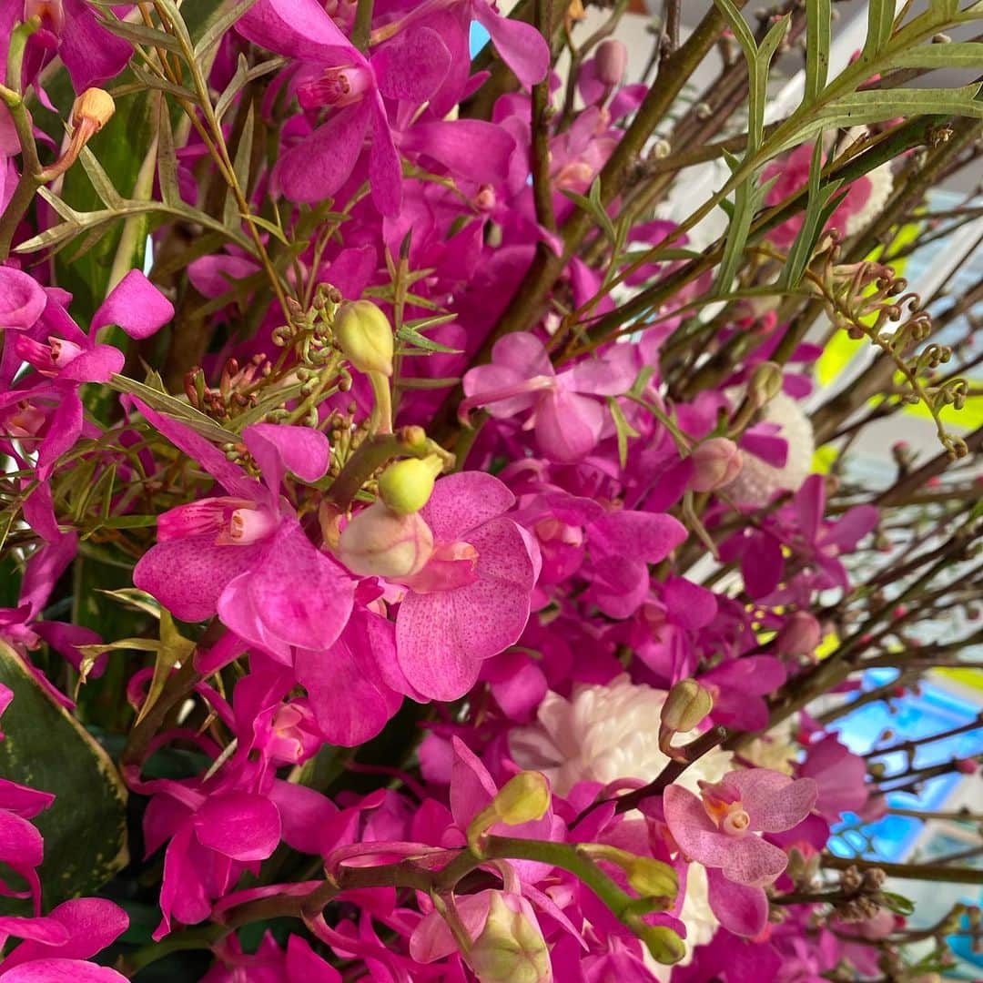 福岡放送「バリはやッ!」さんのインスタグラム写真 - (福岡放送「バリはやッ!」Instagram)「🌸3/2〜週のスタジオ装花🌸 "3月3日、桃の節句🍑 女の子の幸せを願い、ひな祭りの桃の花を飾りました。バリはやッ！の皆様、視聴者の皆様にも、桃の幸せが多くありますように！" by #takeshithemangrove  ありがとうございます！ #THEMANGROVE 様‼️ #桃の花 #ピンポンマム　#ラナンキュラス　#モカラ　#トルコキキョウ　#スイートピー　#ユーチャリス  #桃の節句　#雛祭り #ひなまつり　#ひな祭り　#ひな祭りの花　#ひなまつりフラワーアレンジメント #雛祭りフラワーアレンジメント  #桃　#花が好き #花が好きな人と繋がりたい #花を飾る #花を楽しむ #フラワーアレンジメント #装花　#スタジオ装花　#春の花　#3月の花　#春花　#桃の幸せ #バリはや」3月3日 12時03分 - barihaya