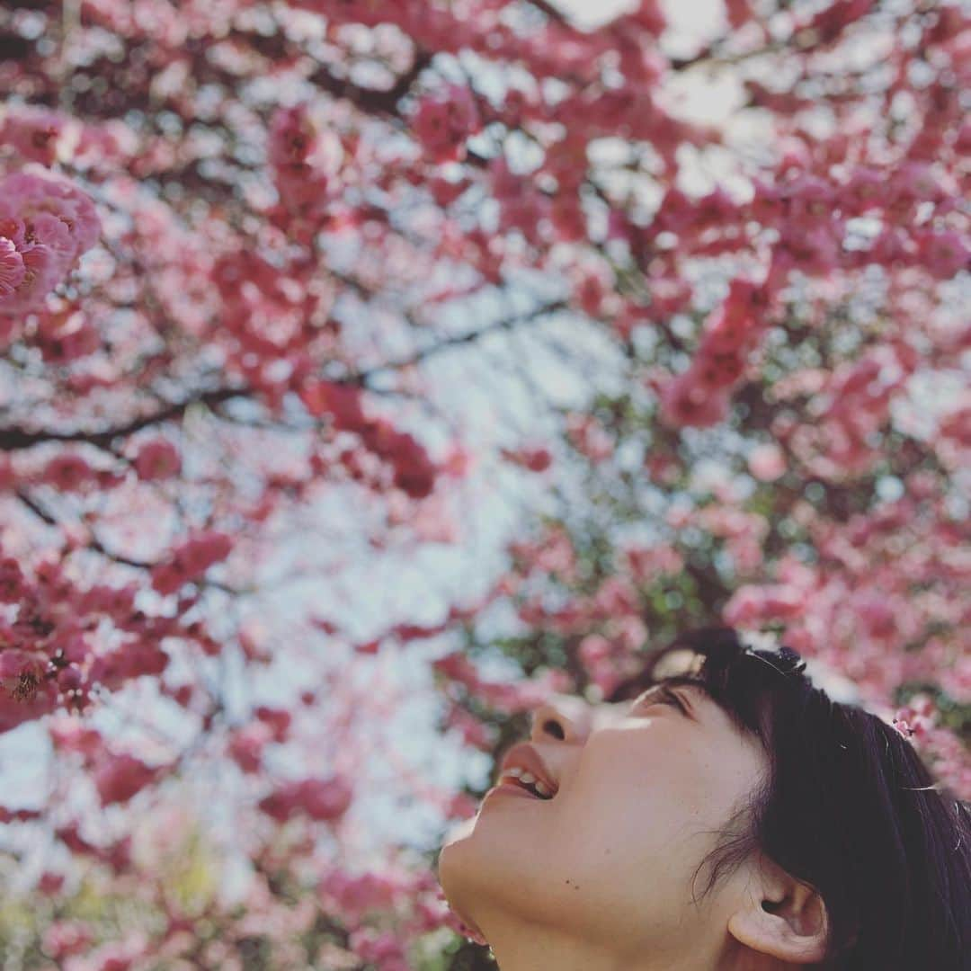 大月さゆさんのインスタグラム写真 - (大月さゆInstagram)「🌸🌸🌸 #梅 #桃の節句だけど #同じ頃咲くピンクの花仲間ということで #はーるよこいっ🌸」3月3日 12時19分 - sayuotsuki_official