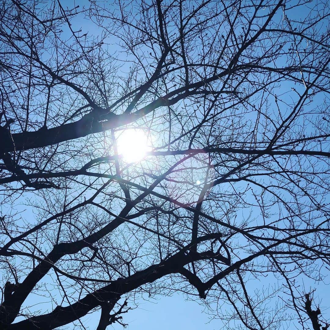 澤真希（小澤真貴子）さんのインスタグラム写真 - (澤真希（小澤真貴子）Instagram)「太陽の光が気持ちいい。身体が欲しています。そして、これから新しい作品に入ります。  #澤真希 #撮影」3月3日 12時42分 - sawa.maki.official