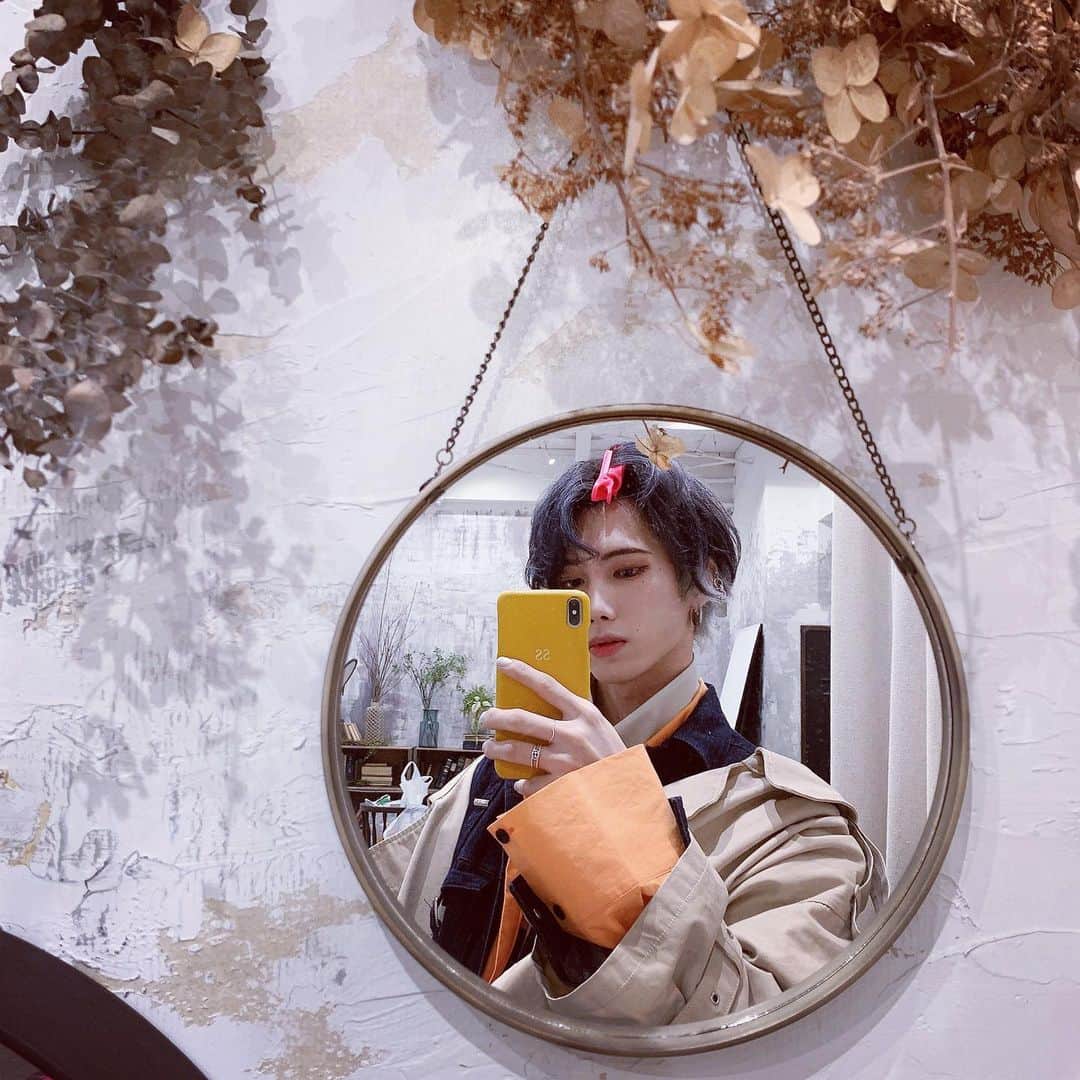 志村禎雄のインスタグラム