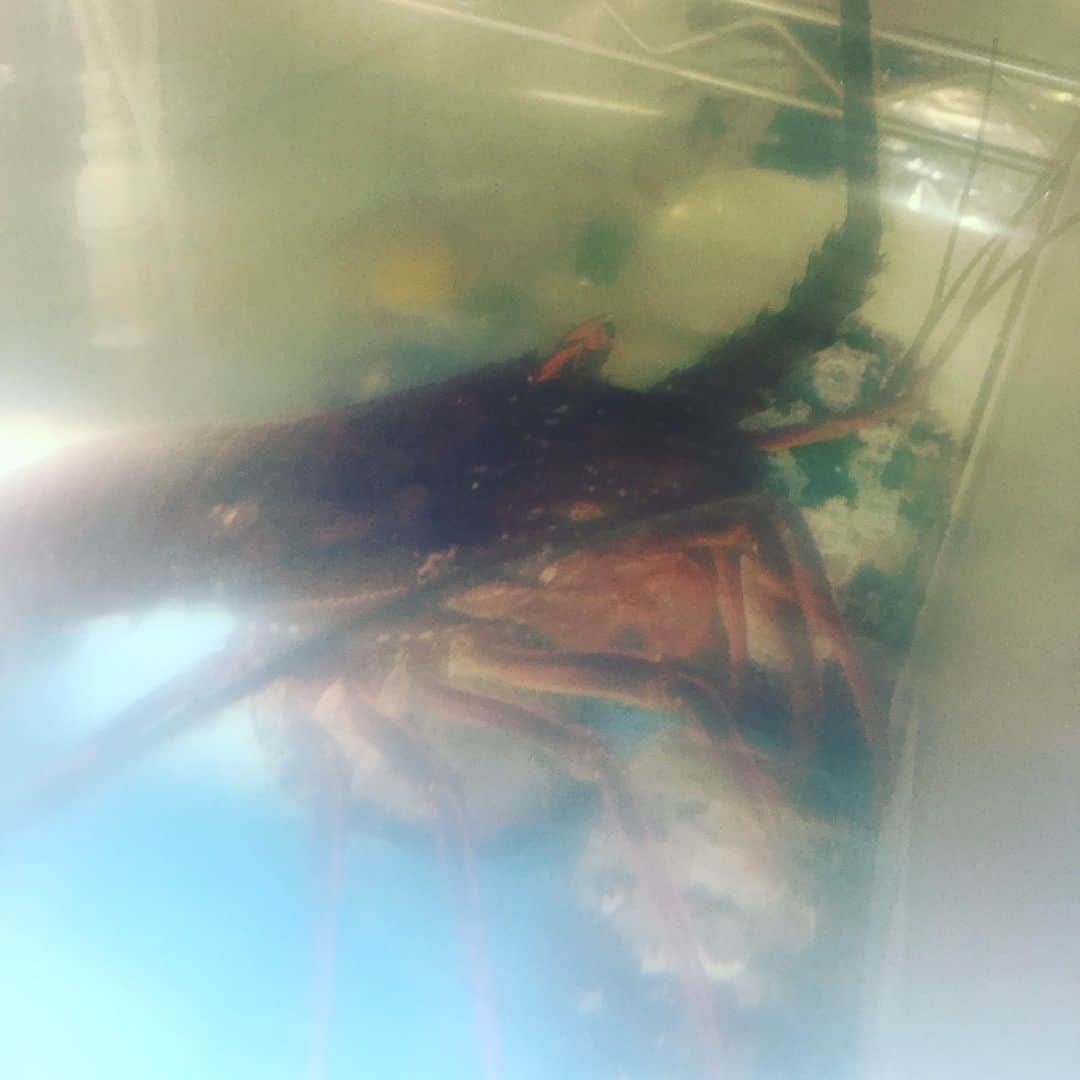 たなごころ 大阪マルビル8階のグルメインスタ