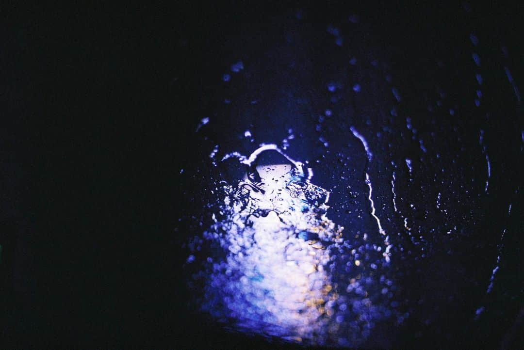 田島貴男さんのインスタグラム写真 - (田島貴男Instagram)「雨音 #フィルムカメラ #nikonf #autonikkor55mmf12  #venus800」3月3日 15時14分 - tajimatakao