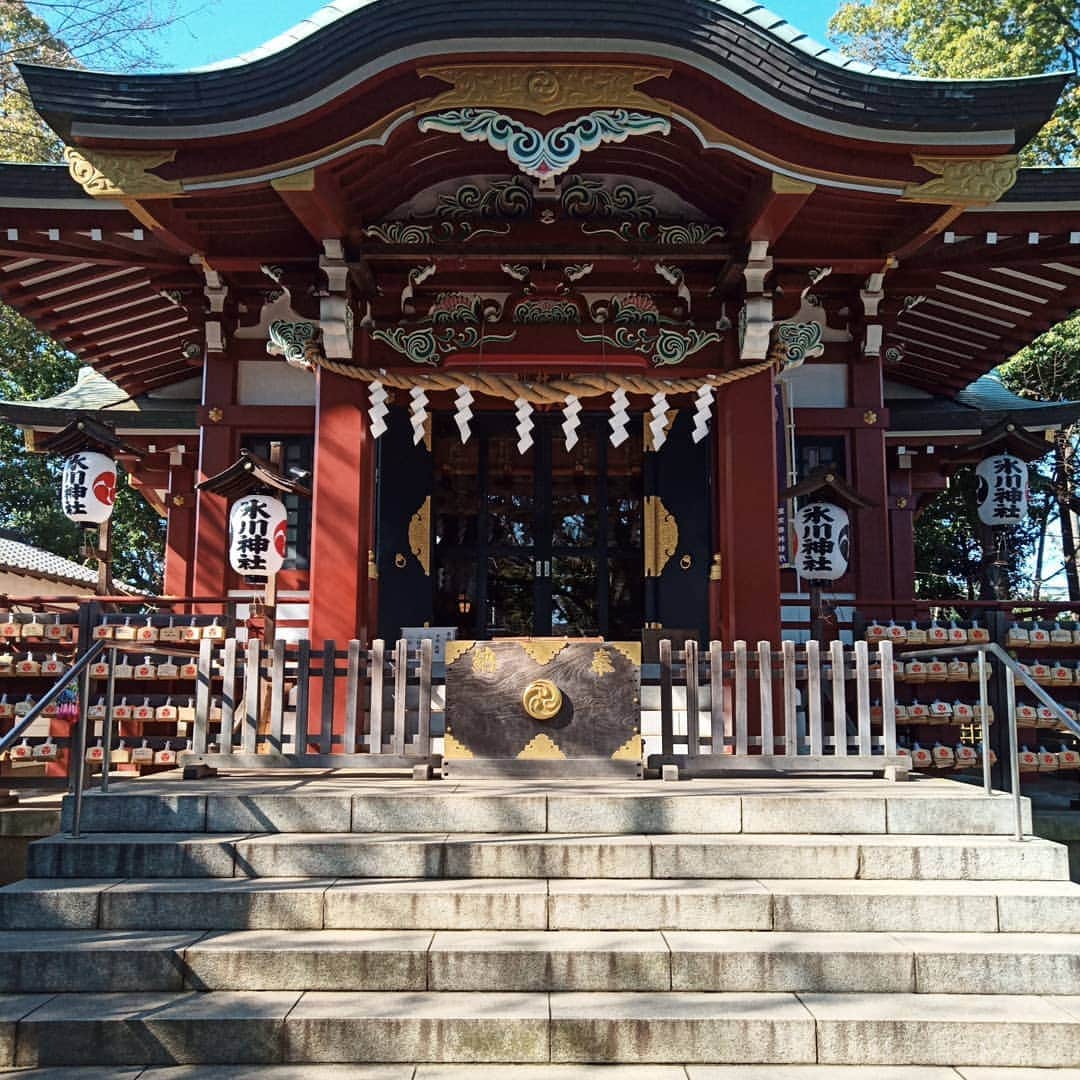 日向正樹さんのインスタグラム写真 - (日向正樹Instagram)「氷川神社に行ってきました。 おみくじは中吉。」3月3日 15時26分 - hinatamasaki