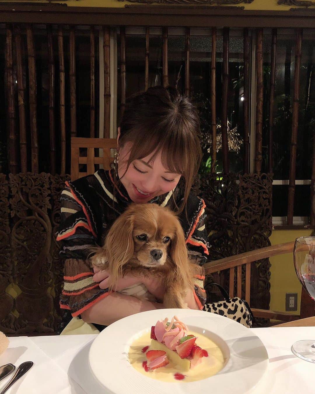 吉沢明歩さんのインスタグラム写真 - (吉沢明歩Instagram)「幸せ時間🍽  #わんこ旅#伊豆#食事が美味しい#二回目#また来たい🐶#1泊2日 #デザート大好き#チャコのご飯も美味しそう😊」3月3日 15時53分 - akiho__yoshi