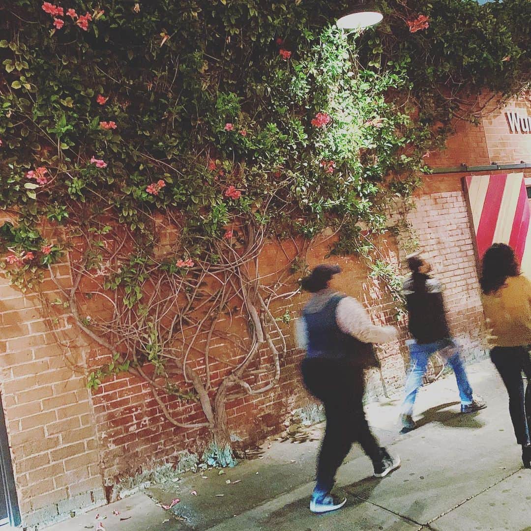 筑間はこべさんのインスタグラム写真 - (筑間はこべInstagram)「Feb 21 .2020  LosAngeles②  お店アート🍃🍂 #artsdistrict  #kreation  #wurstkuche #ワースクーカー #ロスでホットドックといえばワースクーカー #生えてます！ #やっぱり街中がアート #skidrow #ホームレスをカッコよく描いた壁画 #ビール工場外観」3月4日 1時38分 - hakobechikuma