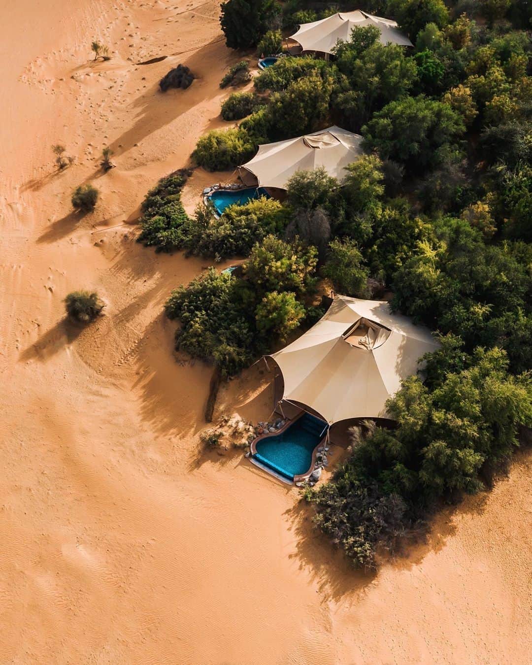 BEAUTIFUL HOTELSさんのインスタグラム写真 - (BEAUTIFUL HOTELSInstagram)「A desert oasis! 🐪☀️ Would you vacation in the middle of the desert? 🌴 Tag a friend who would love this unique experience! (📸: @jeremyaustiin 📍: Al Maha Desert Dubai)」3月4日 2時01分 - beautifulhotels