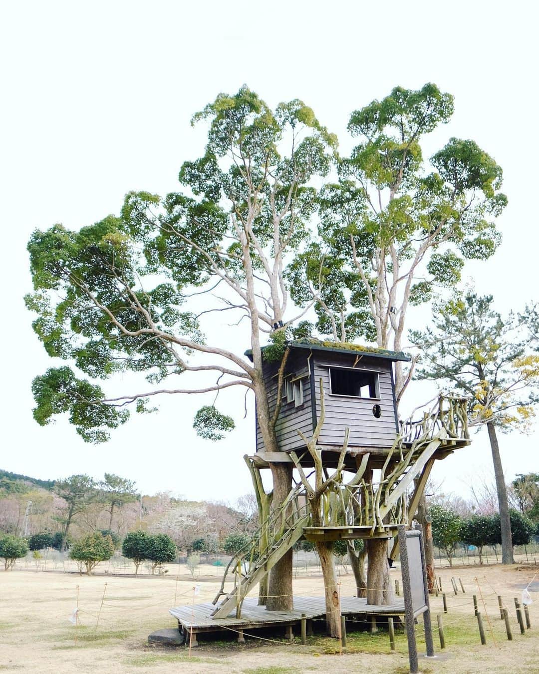 松村太郎のインスタグラム：「A tree house 🏡 #treehouse #takashikobayashi」