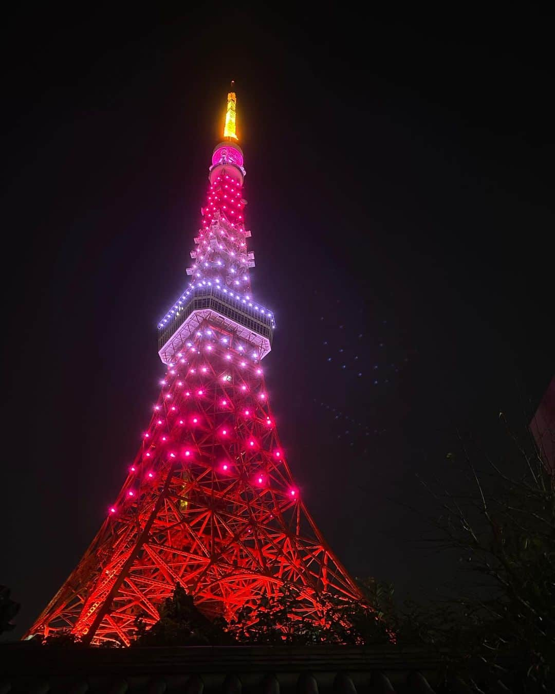 黒澤まさ美さんのインスタグラム写真 - (黒澤まさ美Instagram)「. #東京タワー定期便 . #tokyotower  #tokyotower🗼  #tokyo  #japan #illumination #nightview  #luxurytravel  #東京タワー #東京タワー🗼  #東京タワー夜景  #ダイヤモンドヴェール  #いちごみるく感 #いちごみるく #illuminati #tower」3月3日 19時01分 - masami_kurosawa