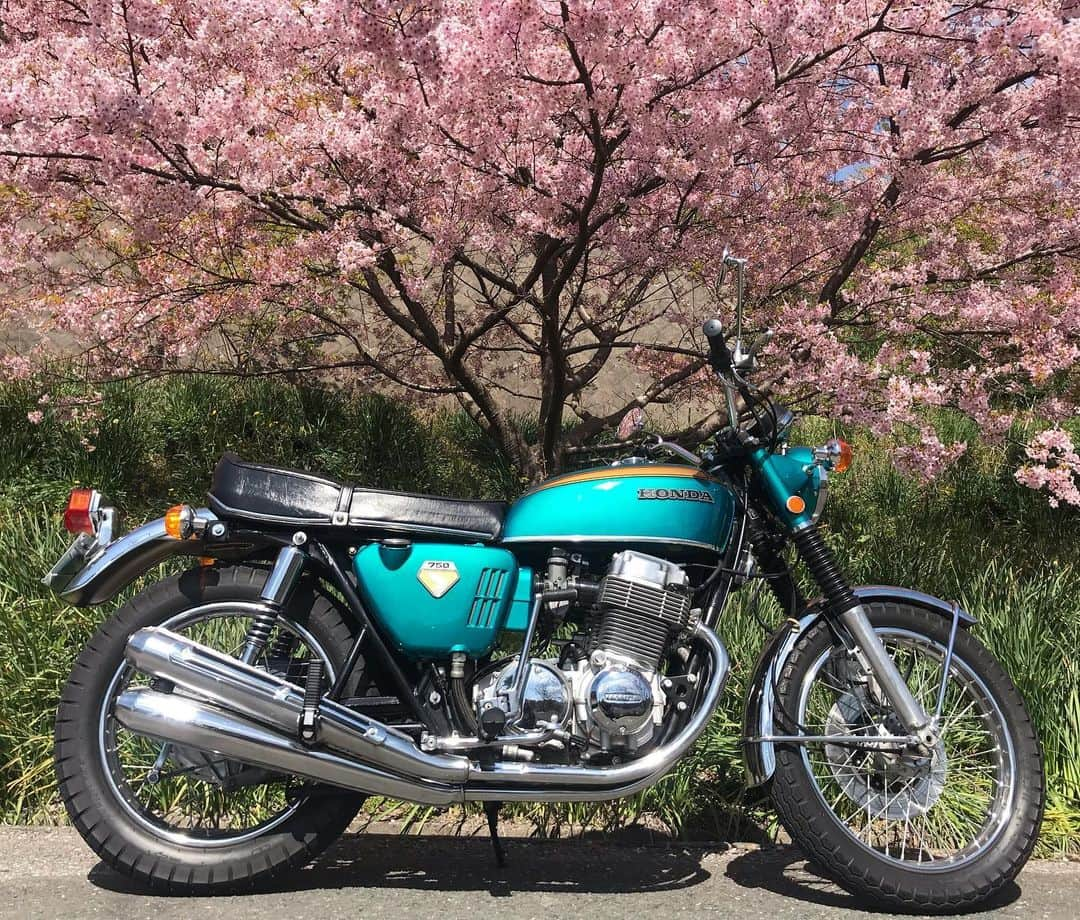 菊地智義さんのインスタグラム写真 - (菊地智義Instagram)「桜とHONDA。 海とHONDA。 バイクって楽しいですよ。 #RGツーリングクラブ #RGTC #HONDA #cb750four #k0」3月3日 19時17分 - potatokikuchi2