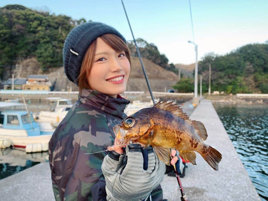 秋丸美帆さんのインスタグラム写真 - (秋丸美帆Instagram)「すっごい綺麗な赤メバル釣れましたっ！*\(^o^)/*✨もうすぐダイワから発売の、エビのリアルワーム（快適リアルオキアミワーム）で😍餌取りにも強いし、何よりもリアルすぎる(笑)  #大分 #九州 #ライトゲーム #メバル #ルアーフィッシング #ライトソルト #oita #kyushu #fishing #fish #lurefishing #sea」3月3日 19時19分 - mippy34