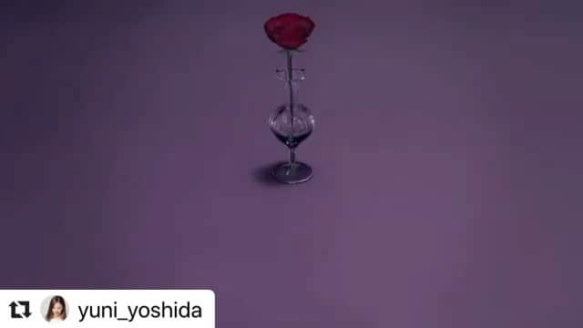 木村カエラのインスタグラム