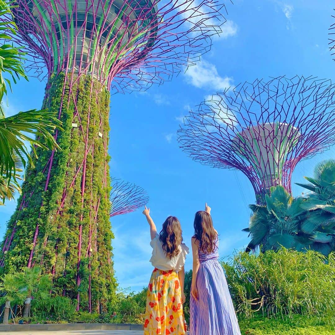 のインスタグラム：「♡ シンガポール🇸🇬から無事帰国✨ . . お天気も毎日晴れで過ごしやすくて 出会う人も行く店も当たりばっかりで ずーっと最高って言いまくってた旅😂💕 笑いまくってリフレッシュしまくって シンガポール本間に最高でした🤤 おひめたんありがとう🌈🌈 . . . . . #ガーデンズバイザベイ #gardensbythebay #シンガポール旅行 #シンガポール #マリーナベイサンズ #シンガポール韓国 #海外旅行 #旅行大好き #ソラtrip #マーライオン #女子旅 #タビジョ #旅行好きな人と繋がりたい #リゾートホテル #genic_singapore #tabijyomap_singapore」