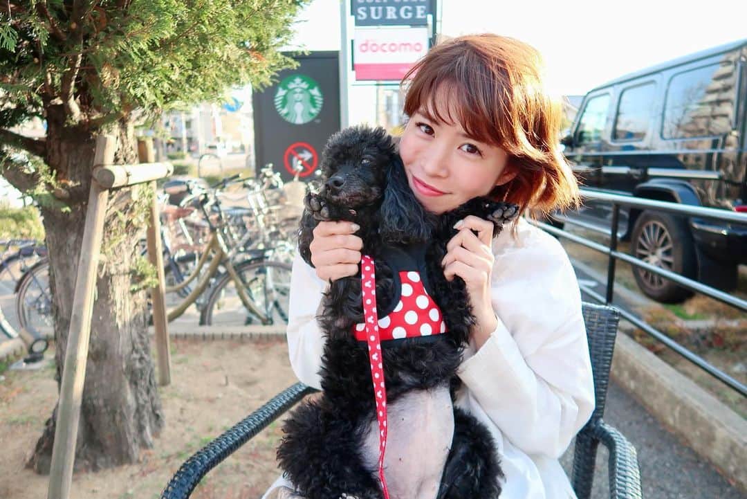 yuiさんのインスタグラム写真 - (yuiInstagram)「. . 犬達とスタバ🐩へ☕︎☕︎ . . .嬉しい様で大騒ぎでした😂 .(つ、か、れ、た😂) . 抱っこが嫌でおりたくて、 全然可愛い顔してくれなかった🐩笑 . . お婆さん達今日もめちゃくちゃ元気でなにより♥️ . . #スタバ#スターバックス」3月3日 19時40分 - yuiram