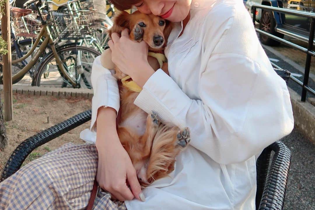 yuiさんのインスタグラム写真 - (yuiInstagram)「. . 犬達とスタバ🐩へ☕︎☕︎ . . .嬉しい様で大騒ぎでした😂 .(つ、か、れ、た😂) . 抱っこが嫌でおりたくて、 全然可愛い顔してくれなかった🐩笑 . . お婆さん達今日もめちゃくちゃ元気でなにより♥️ . . #スタバ#スターバックス」3月3日 19時40分 - yuiram