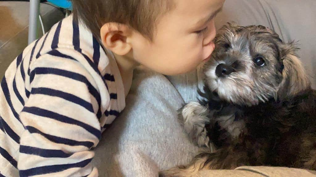 押尾学さんのインスタグラム写真 - (押尾学Instagram)「仲良しです😌  my son loves him☆ #onelove #minitureschnauzer #family #instagood #love」3月3日 20時02分 - manabuoshio_official