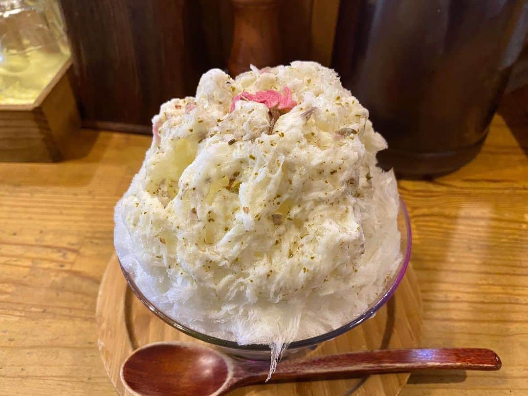 桃乃木かなさんのインスタグラム写真 - (桃乃木かなInstagram)「「麺屋 KABOちゃん」 ﻿🍧 ﻿ ・桜みるく﻿ ・KABOちゃみるく﻿ ・ネギトロとシラスのご飯﻿ ﻿ ﻿ #麺屋kaboちゃん #駒込」3月3日 20時26分 - kana_momonogi