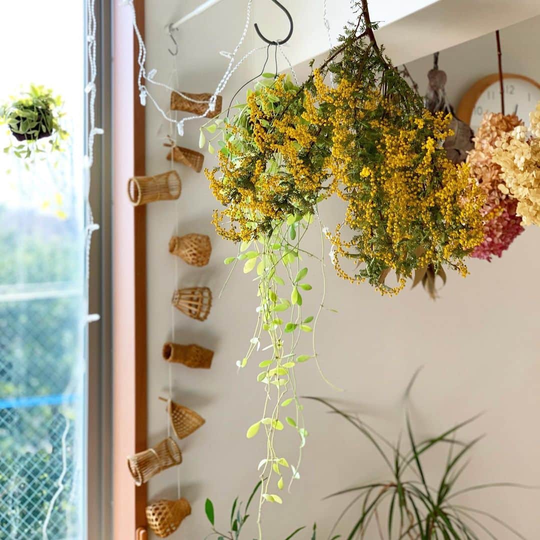 佐藤友子さんのインスタグラム写真 - (佐藤友子Instagram)「家のなかに黄色がいっぱい。菜の花にミモザ。なかなか身につけられない色だけれど、こうやって花で眺めるのは大好き。  でも、昨年の夏に勇気を出して、イエローのアイカラーを買ったのだった😊」3月3日 20時38分 - tomokosato_hokuohkurashi
