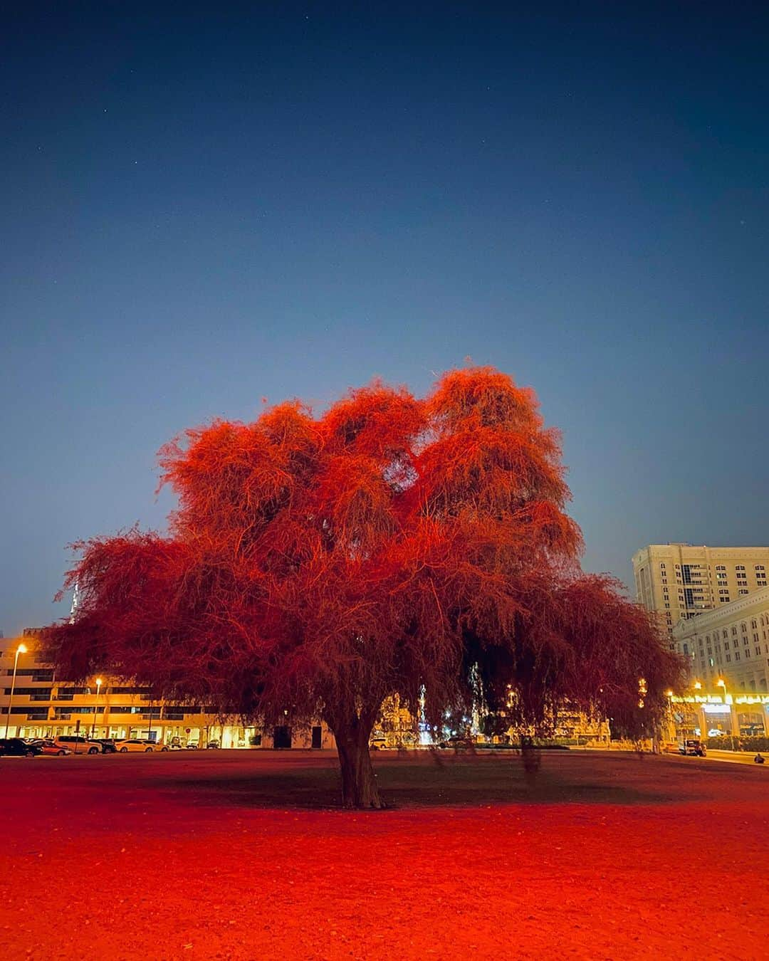 appleさんのインスタグラム写真 - (appleInstagram)「Showcase: Night mode Presenting the 6 winners from the Night mode Community Challenge. Click the Newsroom link in our bio to learn how their photos will live beyond Instagram. #NightmodeChallenge #ShotoniPhone by... - 1. Konstantin C. @chalabov - 2. Andrei M. @houdini_logic - 3. Mitsun S. @mitsun - 4. Yu Z. @ericube.23 - 5. Rustam S. @tomrus - 6. Rubén B. @rubenpb」3月3日 21時59分 - apple