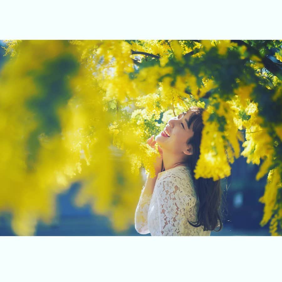 なつのインスタグラム：「一年で一番大好きな春がきて 嬉しい毎日です🌸 . . はやくポッカポカな日がきてほしいな〜  #撮影 #撮影モデル募集 #被写体 #被写体モデル #被写体募集中 #透明感 #透明感女子 #ミモザ #透明感メイク #ナチュラルメイク #オレンジメイク #ポートレート #portrait #photo #camera #japanesegirl #ポートレート部 #東京カメラ部 #ミモザの木 #spring #春」